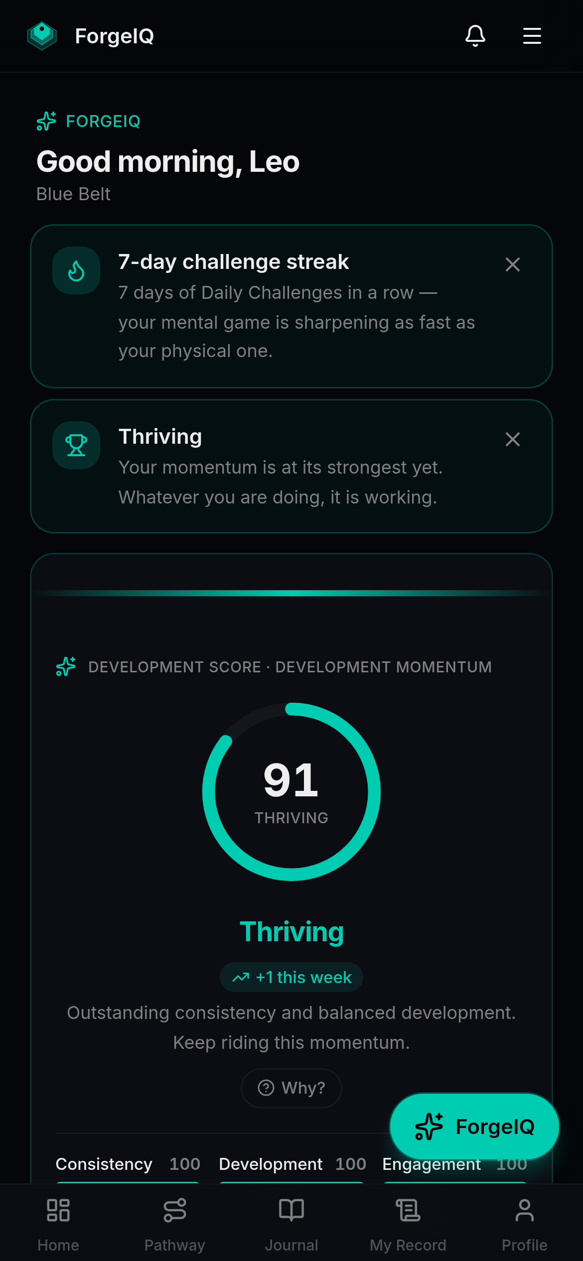 ForgeIQ coaching dashboard showing a member's Development Score of 91, momentum, and recommended focus