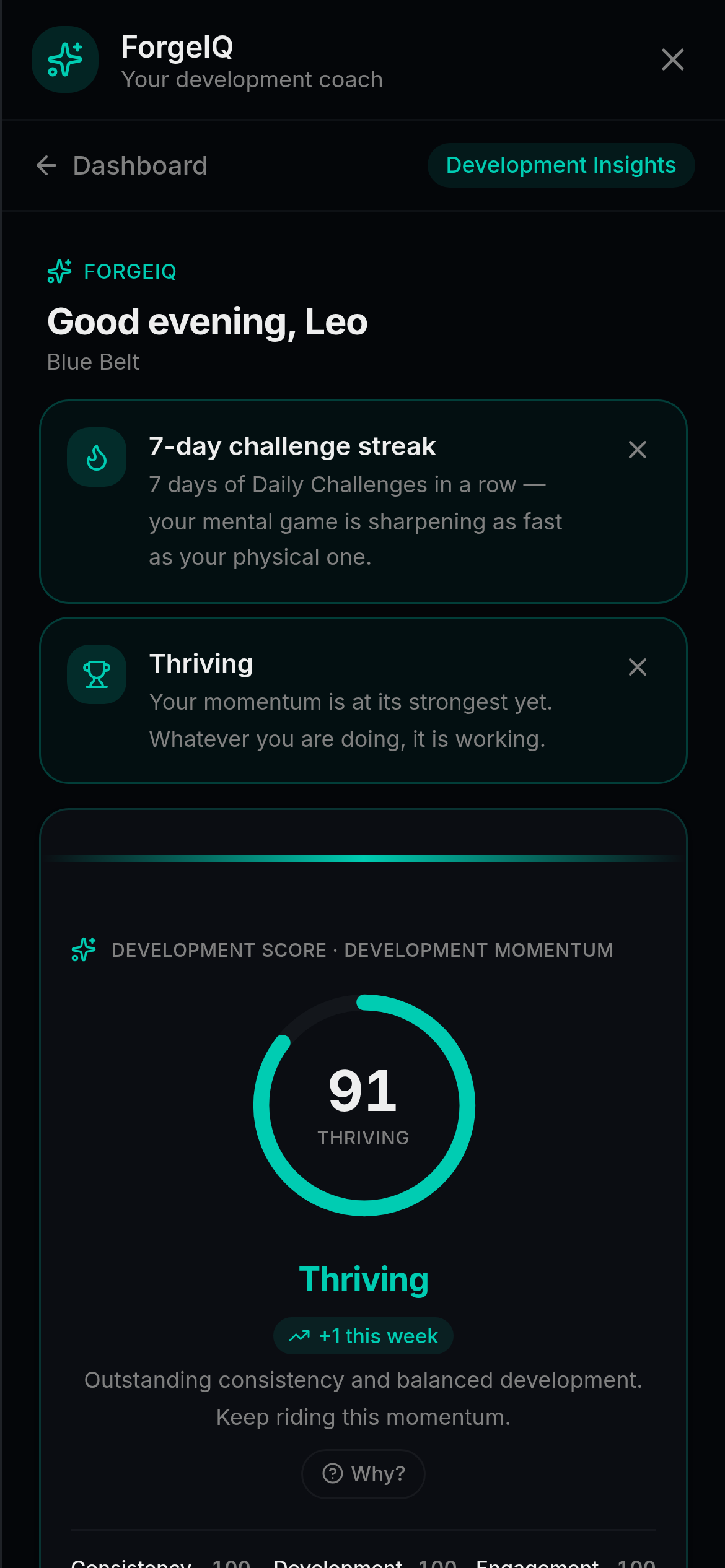 ForgeIQ coaching dashboard showing a member's Development Score of 91, momentum, and recommended focus